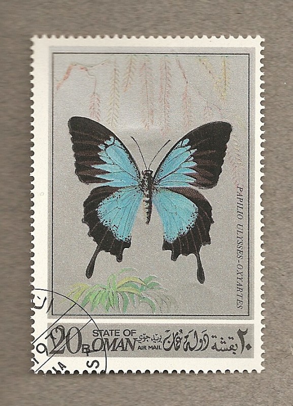 Mariposa Papilio Ulysses