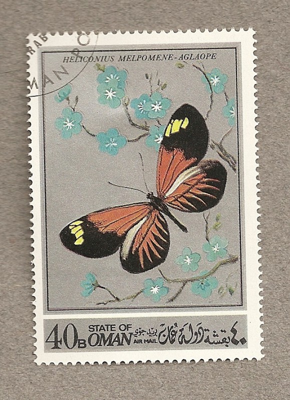 Mariposa Heliconius melpomene