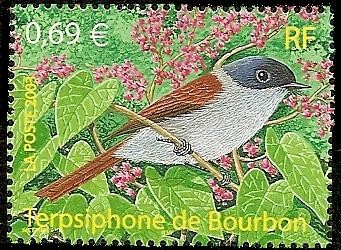 Aves - Fersiphone de Bourbon