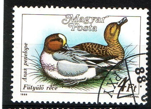 Patos