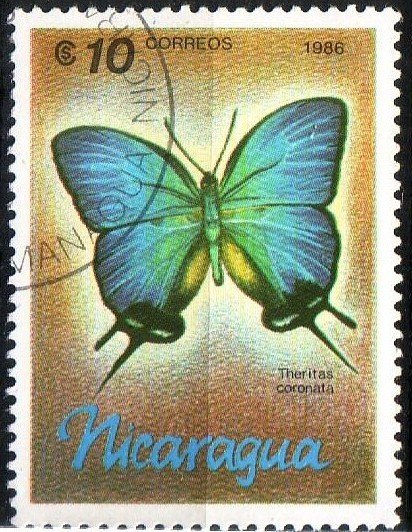 Mariposa