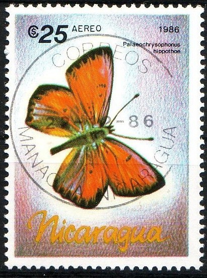 Mariposa