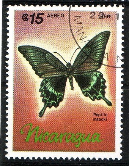 Mariposa