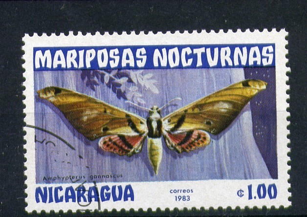 serie- Mariposas nocturnas