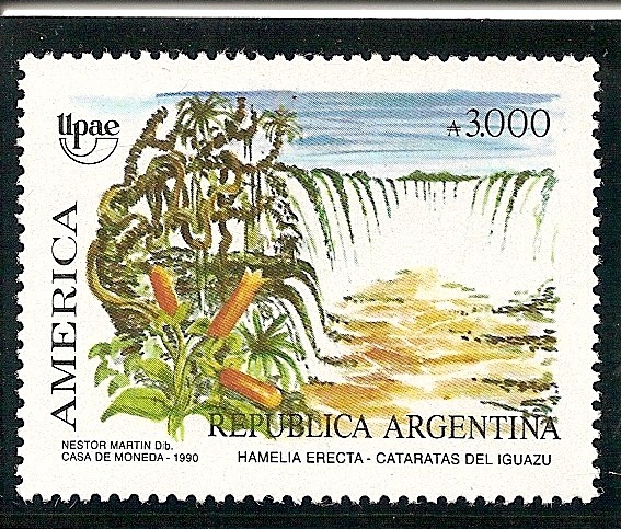 Cataratas de Iguazú