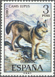 ESPAÑA 1972 2104 Sello Nuevo Serie Fauna Hispanica Lobo c/señal charnela