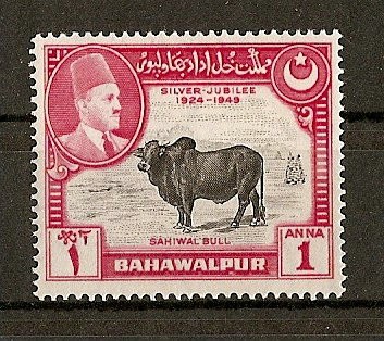 Bahawalpur.
