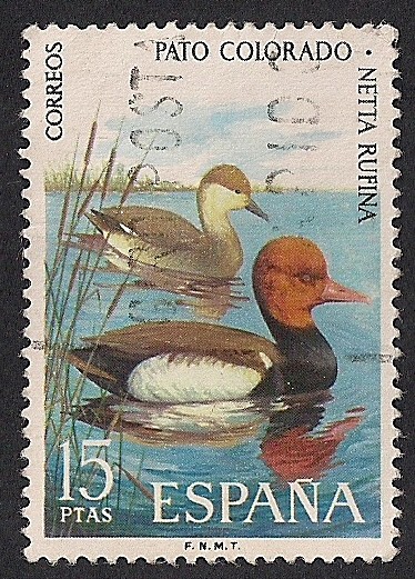 Fauna Hispanica