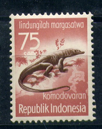 Komodovaran