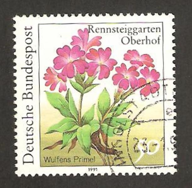 1338 - planta del jardín botánico de rennsteiggarten, oberhof, primaveras