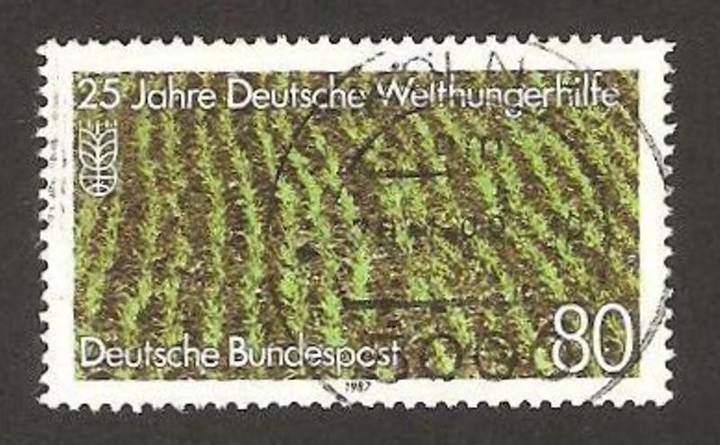 1177 - 25 Anivº de la ayuda alimentaria alemana al mundo, campo de arroz