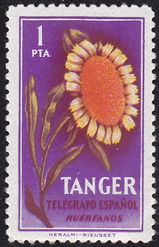 Tanger **