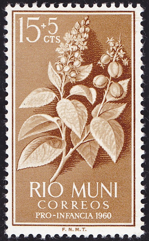 Rio Muni **. Pro infancia