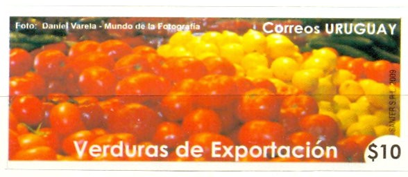 VERDURAS DE EXPORTACION