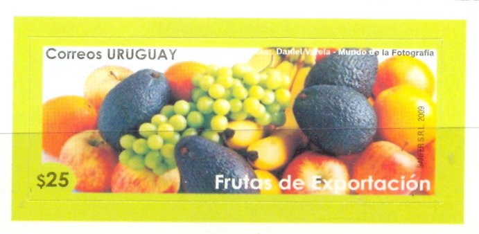 FRUTAS DE EXPORTACION