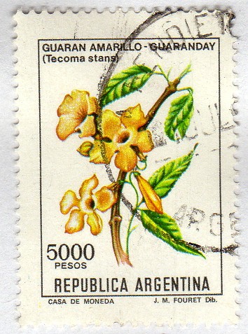 Flores argentinas (1982-1989)