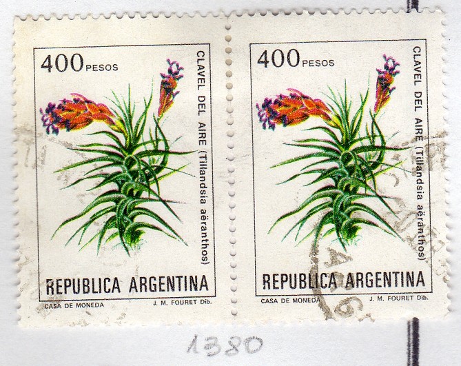 Flores argentinas (1982-1989)