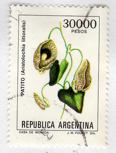 Flores argentinas (1982-1989)