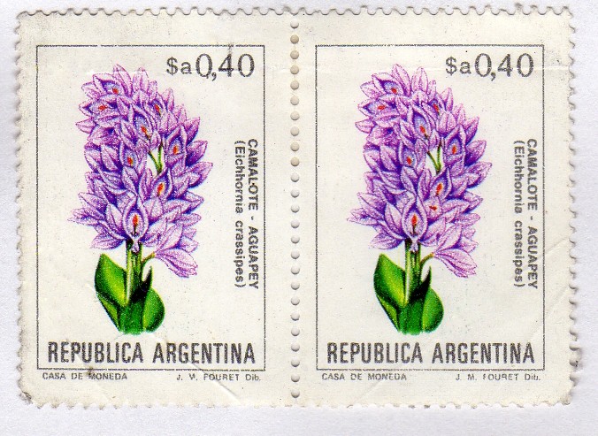 Flores argentinas (1982-1989)