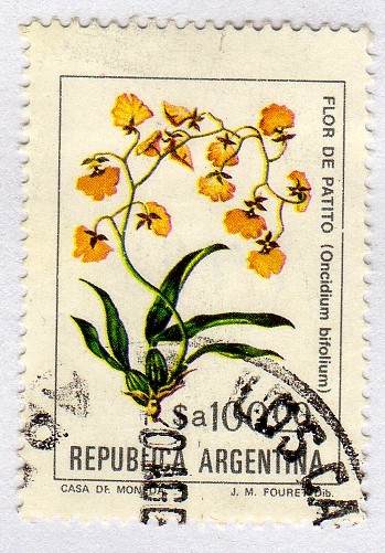 Flores argentinas (1982-1989)