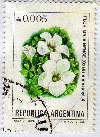 Flores argentinas (1982-1989)