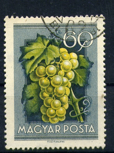 Uvas