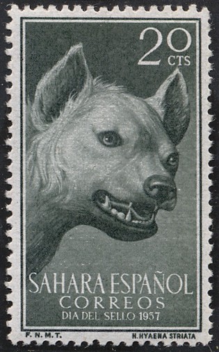 Sahara Español