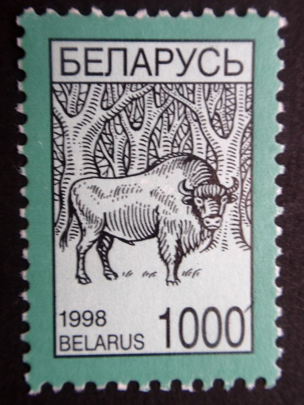 BELARUS