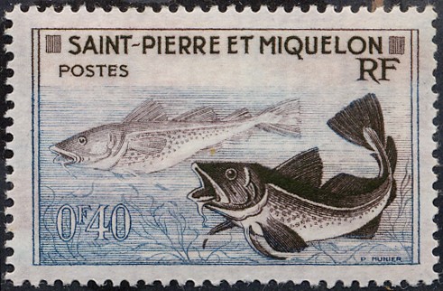 Peces