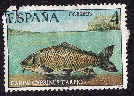 CARPA