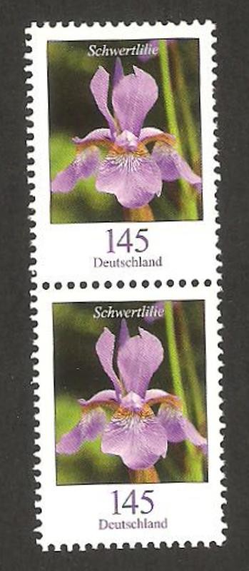 2330 - flor Iris