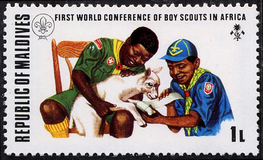 Boy Scouts