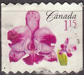 CANADA 2007 Sello Flora Orquidea Usado