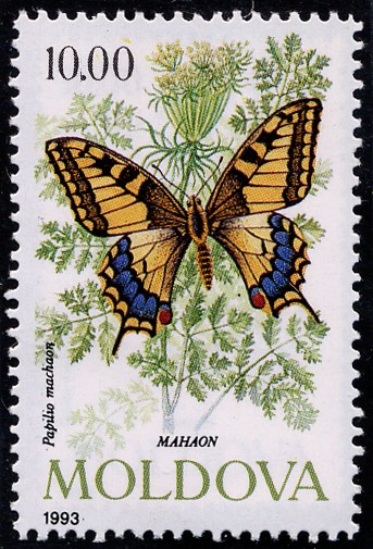 Mariposas