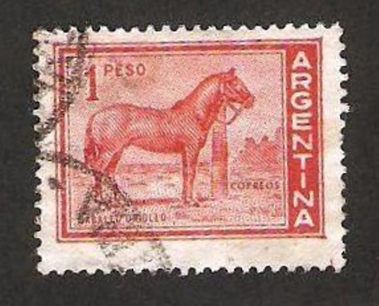 caballo criollo