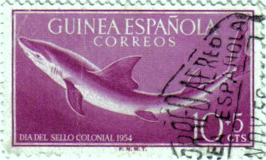 Día del sello. Fauna marina. Guinea Española 1954