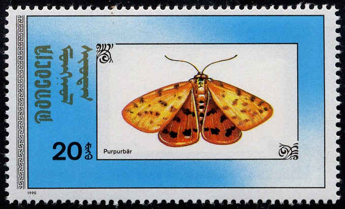 Mariposas