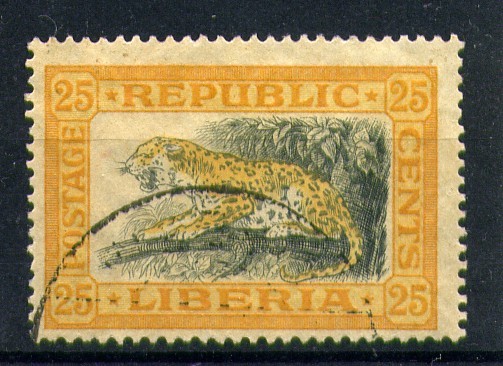 Leopardo