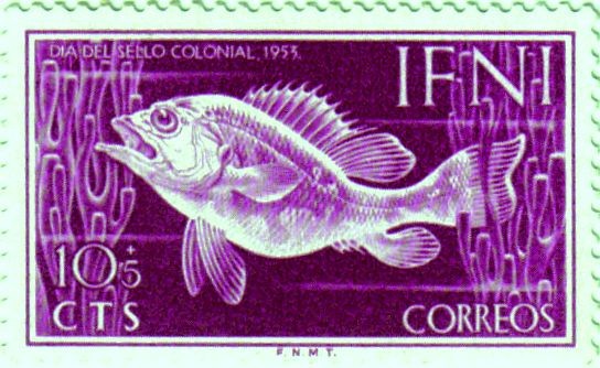 IFNI. Día del sello 1953 peces