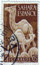 Sahara Español. Día del sello 1951