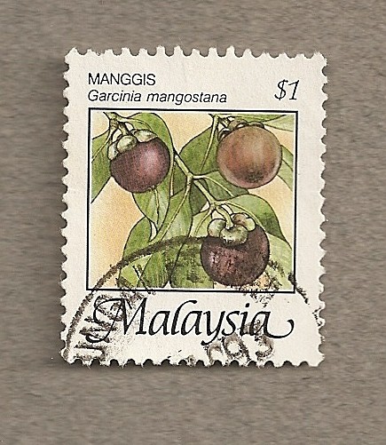 Garcinia mangostana