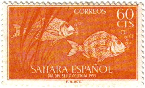 Sahara Español. Día del sello 1953