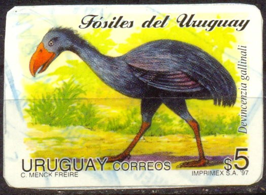 FOSILES DEL URUGUAY