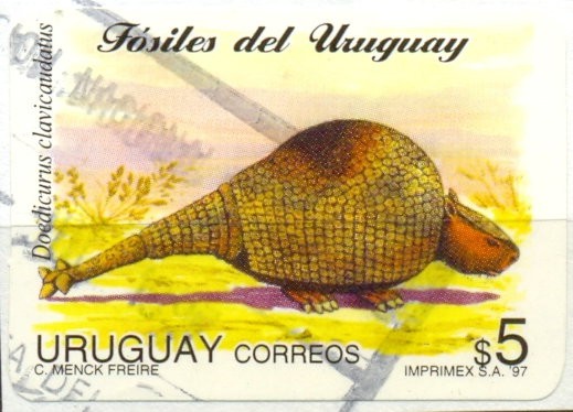 FOSILES DEL URUGUAY