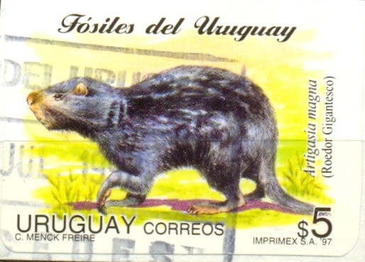 FOSILES DEL URUGUAY