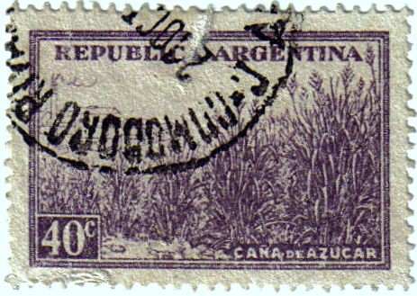 Caña de azucar. República de Argentina