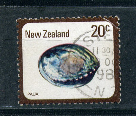 Paua