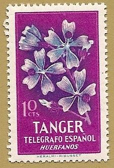 TANGER - Telégrafo Español - huérfanos