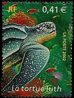 Animales marinos -  Tortuga Laúd