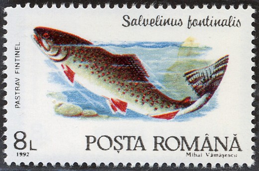 Peces